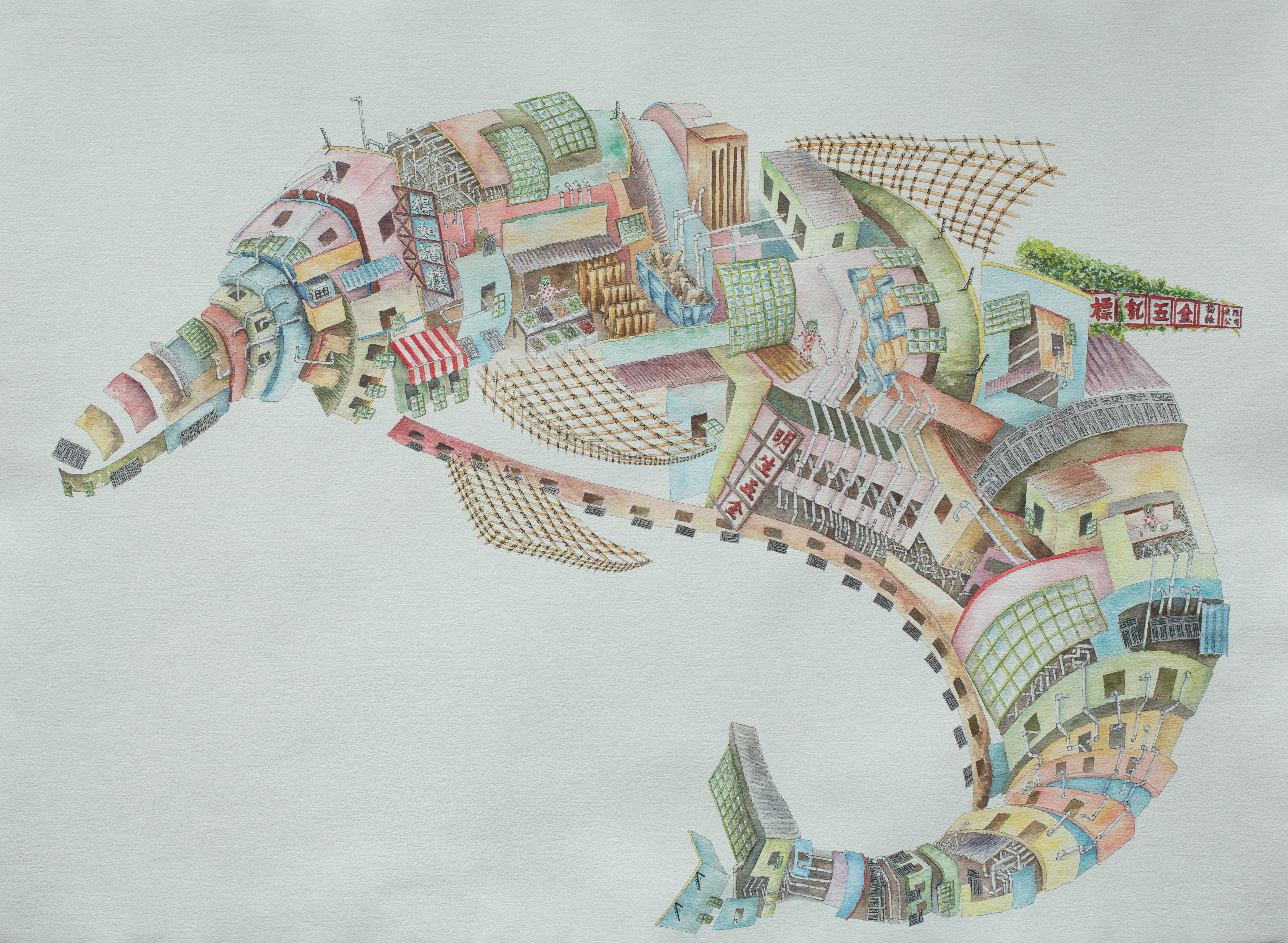 Dolphin