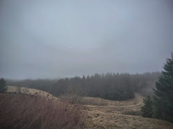 Verzauberter Nebel im Harz