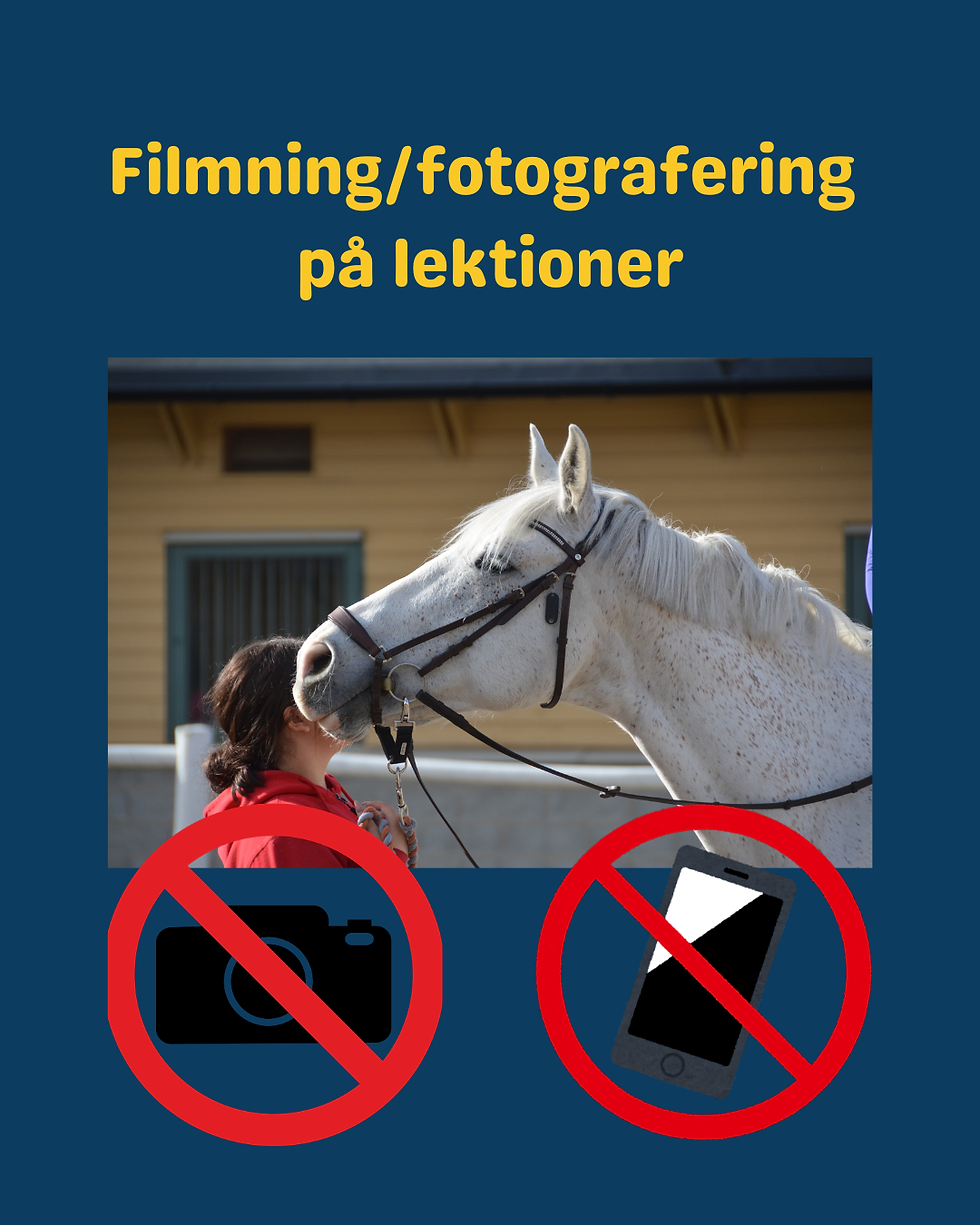 Veckonytt v.19