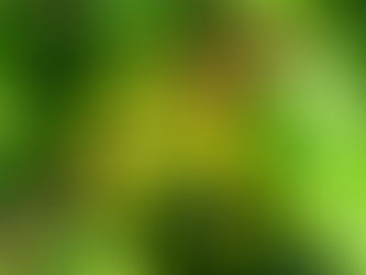ハウスのビニール広げ開始