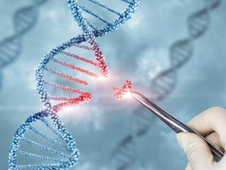 CRISPR and the Promise of Gene Editing (Part 2)