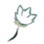 5551862F-E63E-4306-867B-291CDEEDFB15.jpe