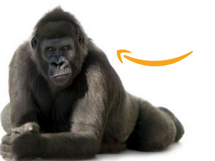 All About Amazon, Part Three: Recommendations