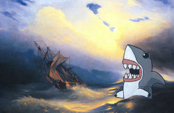 Sharks Ahoy