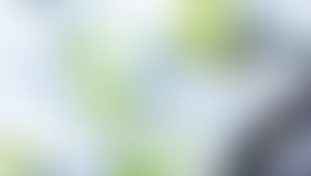 Springtime Sangria Verde