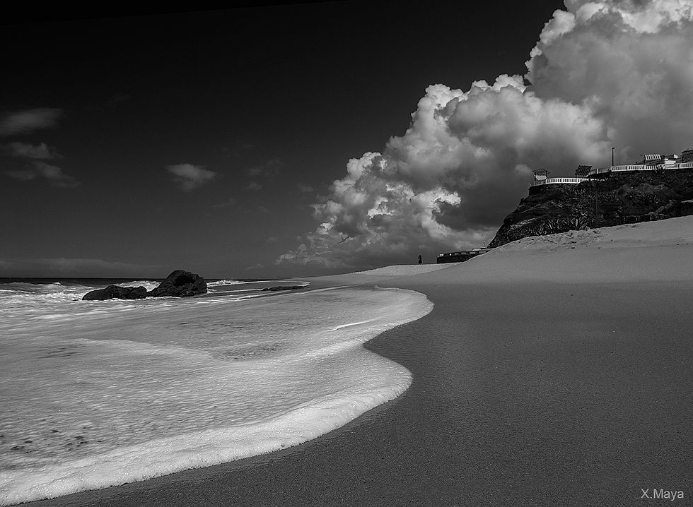 LIS_5394