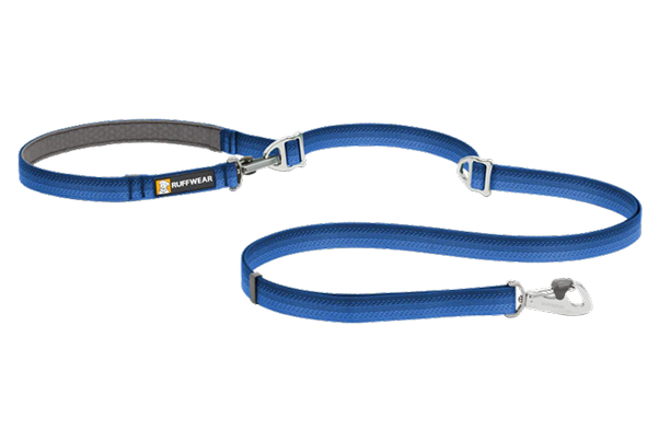 dog-string.png