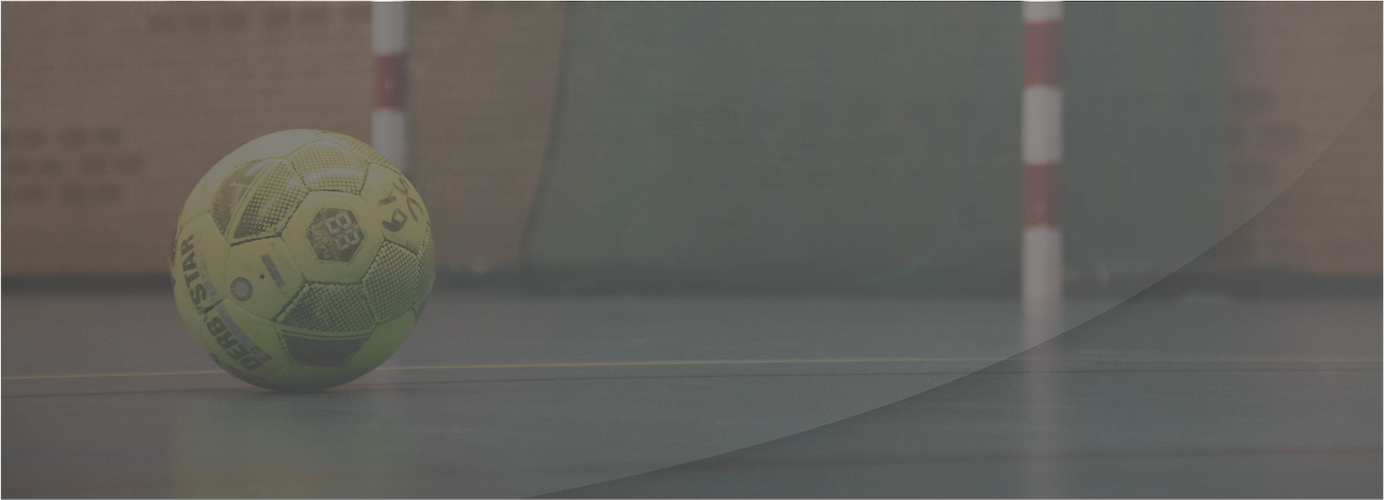 BannerHandball.png