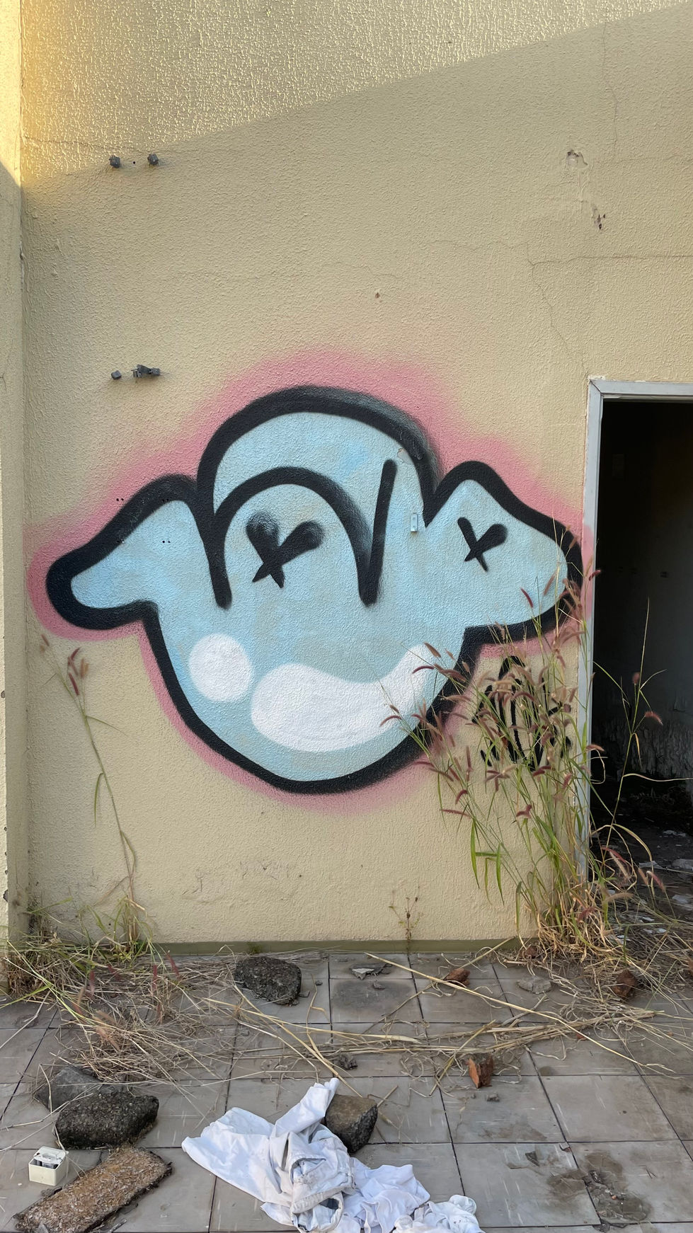 IMG_3299(1).JPEG
