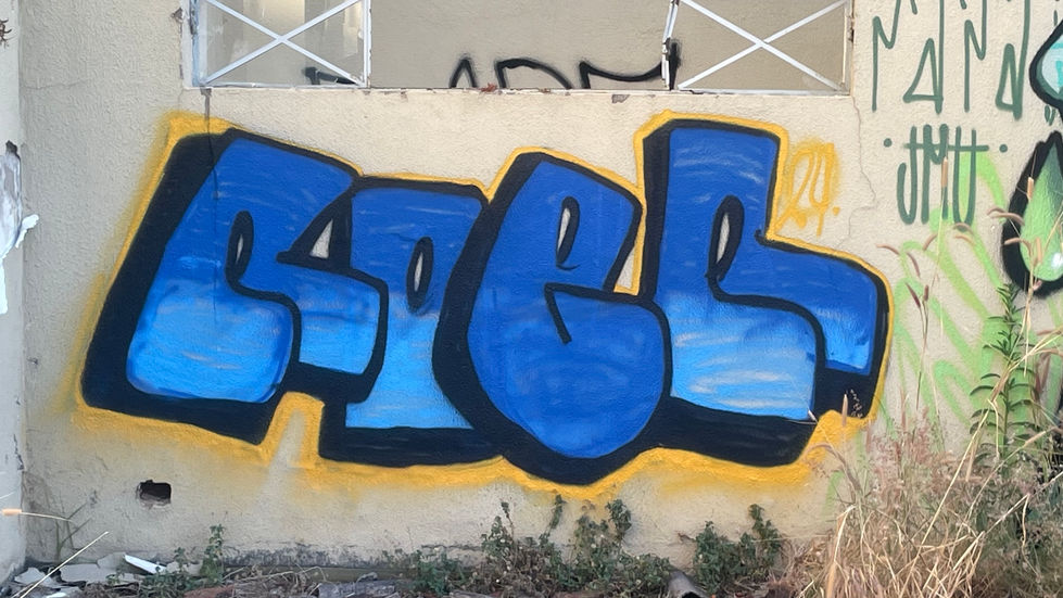 IMG_3743.JPEG
