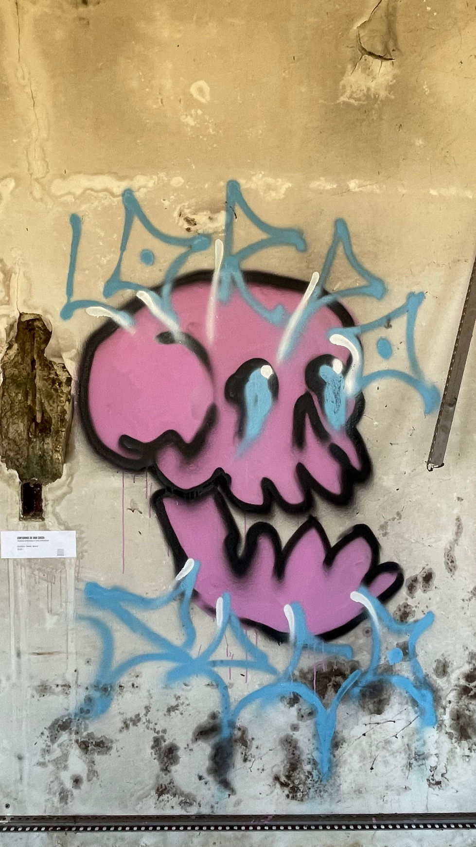 IMG_3675(1).JPEG