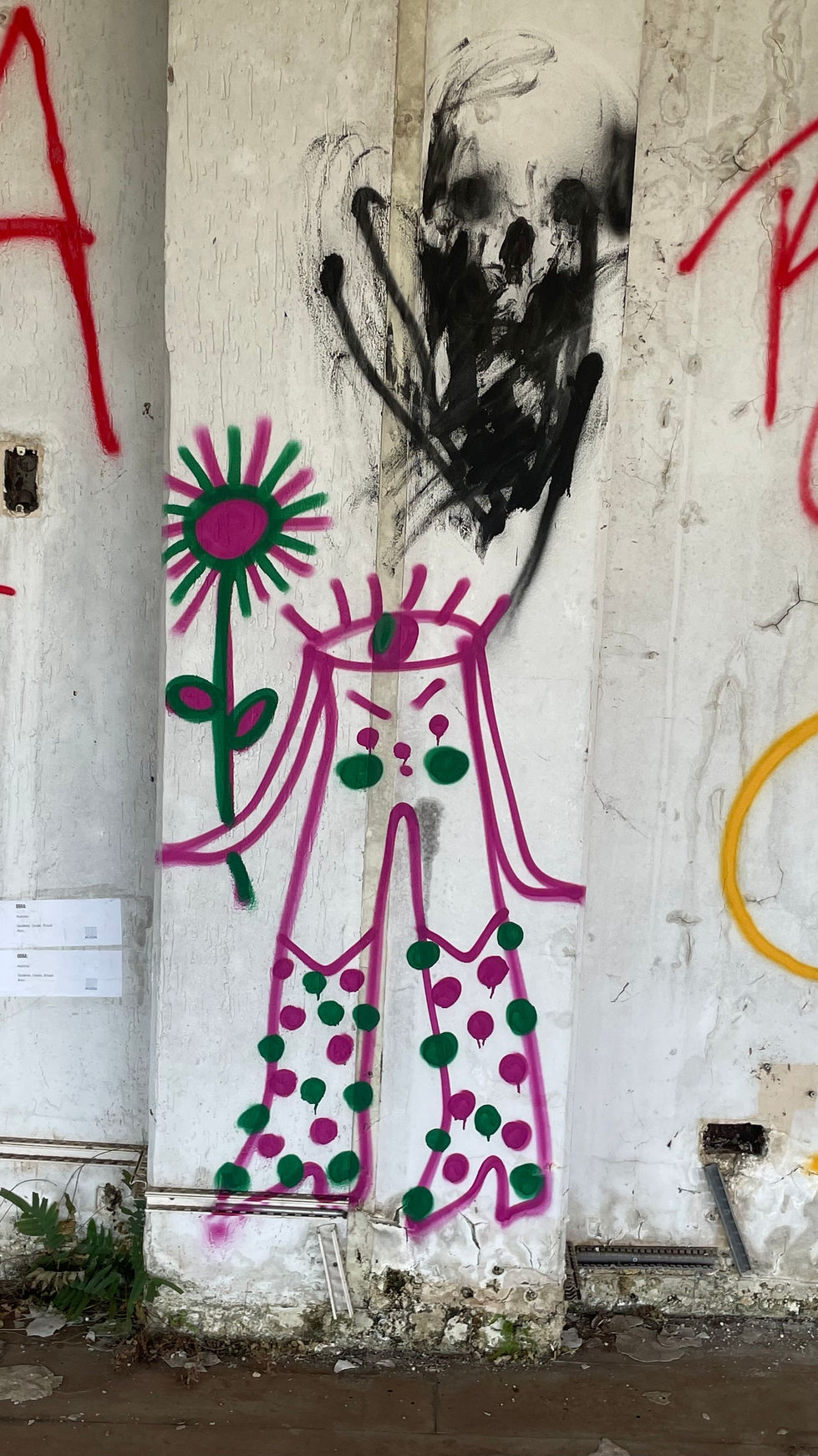 IMG_3535(1).JPEG