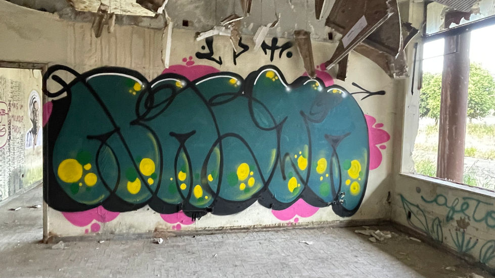IMG_3313.JPEG