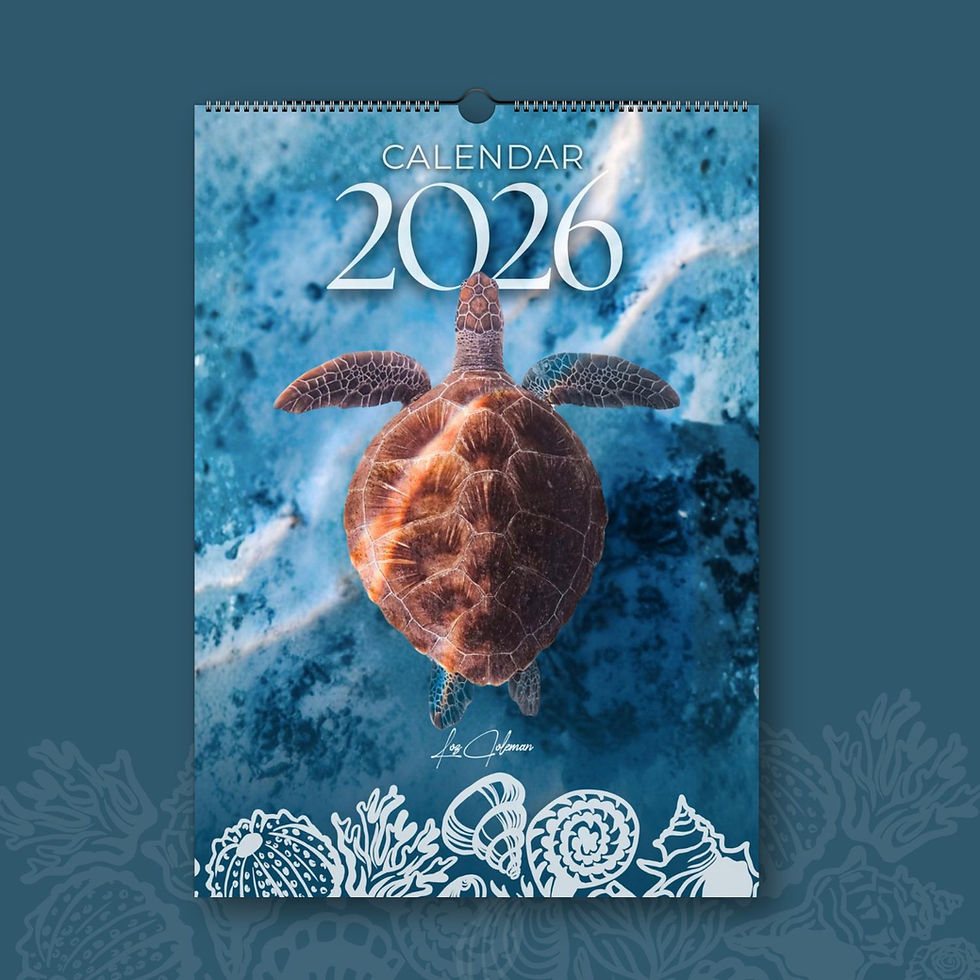 Loz Coleman 2026 Calendar
