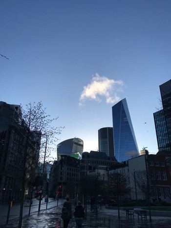 IMG_4963.jpeg