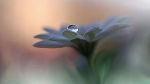 Πώς να Φέρεις τη Δύναμη της Ενσυνειδητότητας στη Ζωή Σου