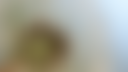 3. Προσοχή - Τέσσερις Δεξιότητες Για Ευημερία Που Επιβεβαιώνει Η Νευροεπιστήμη