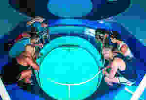 || Sindbad club || Hurgada || swimming pool || Egypt || Submarine || Underwater || water sports || scuba diving || coral reef || africa || that nomadcouple || my_fernweh_soul || offbeat_trouvaille || beautiful hotels || luxury hotels || beautiful destinations || travel blogger || egypt blog || best hotels in hurgada || backpackers || travel || google pixel || team pixel || cnn travel || bbctravel || tripoto community || trip advisor || red sea || quest || best properties in hurgada ||