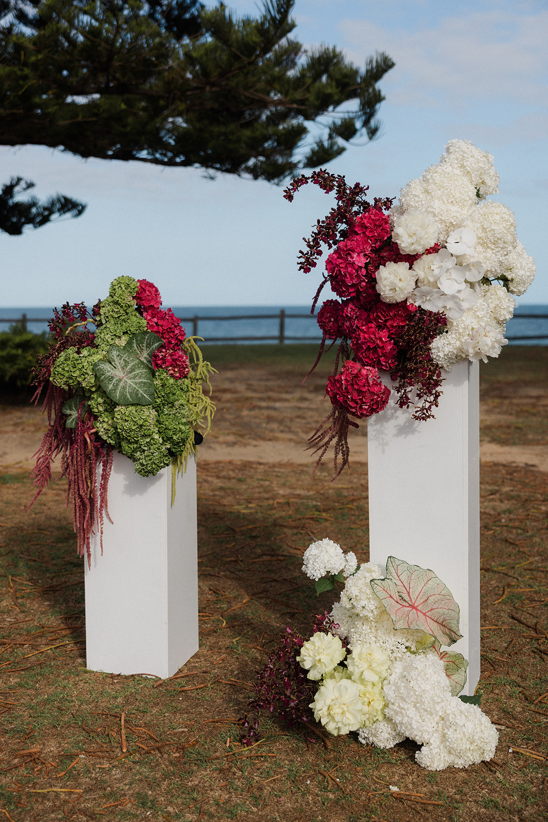 White House Flowers — photo 14 of 14