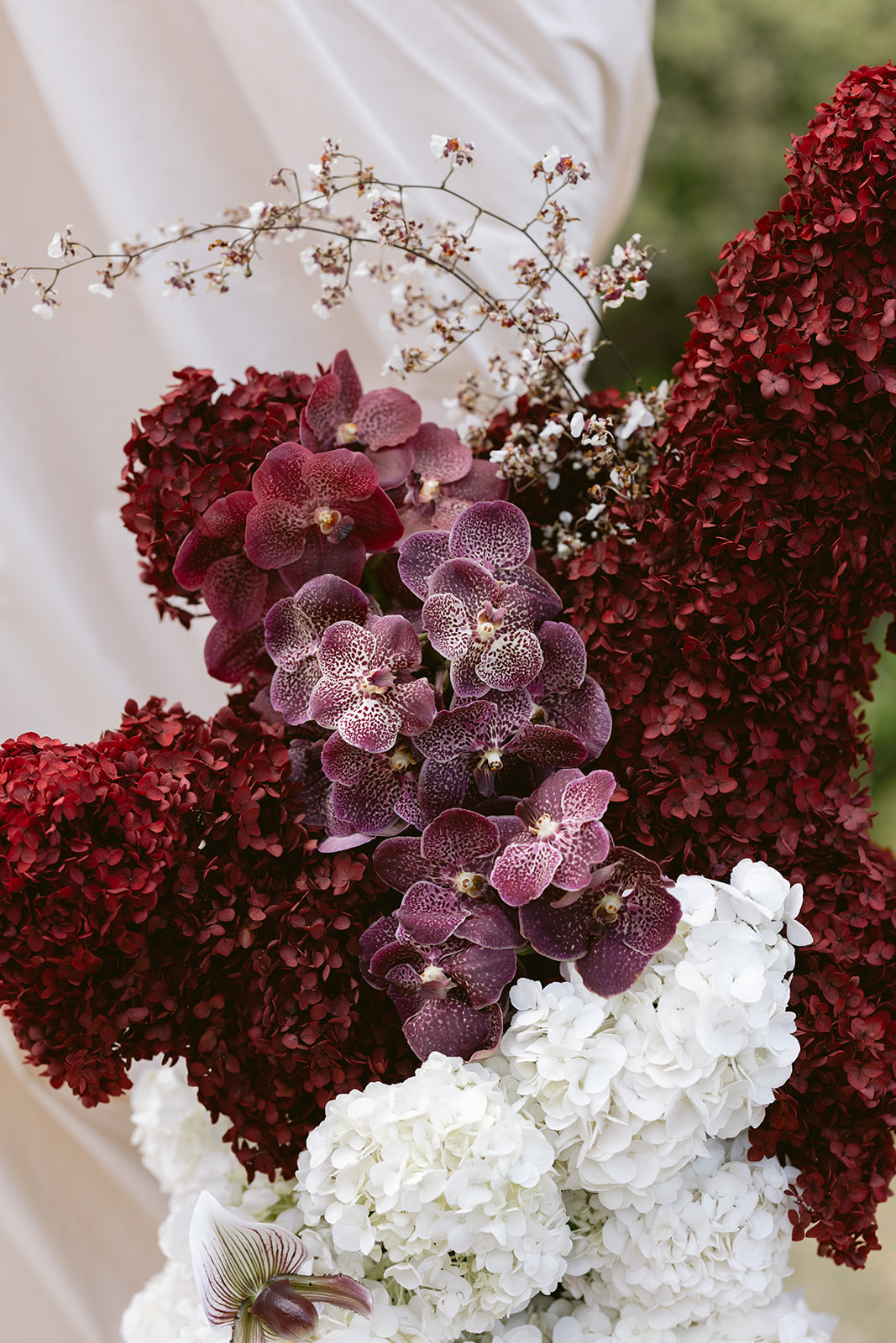 White House Flowers — photo 3 of 14