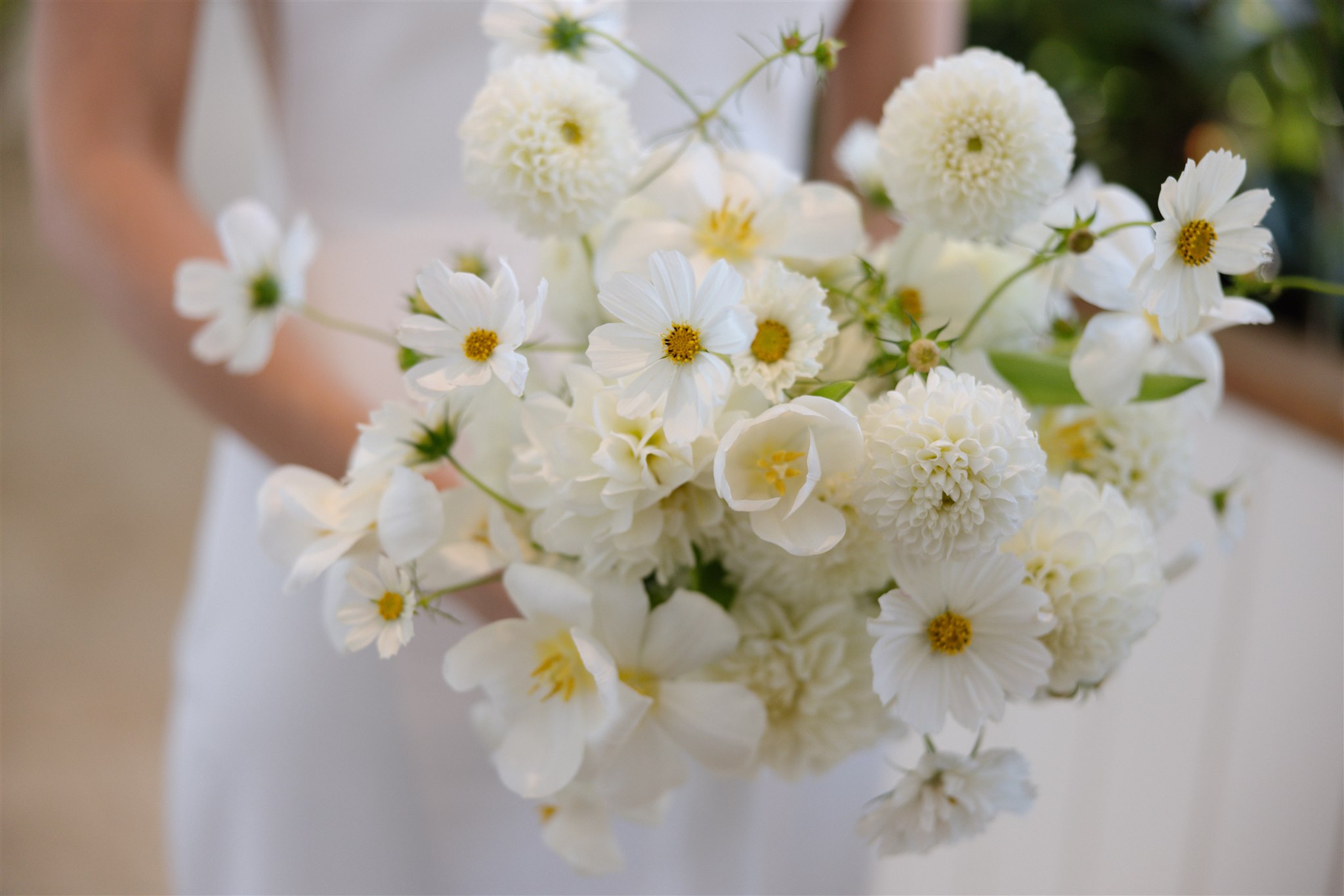 White House Flowers — photo 11 of 14