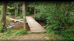 Brugje over de Ronce