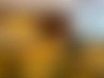 Carlo Ancelotti é condenado a um ano de prisão por acusação de fraude fiscal