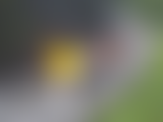 RASTRO DE DESTRUIÇÃO: Carreta com combustível tomba e pega fogo na BR-101 em SC; outros 25 veículos foram incendiados