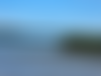 RN adere a movimento global para preservação de manguezais