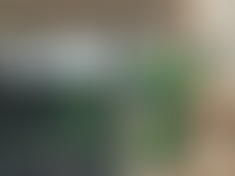 PGR defende prisão domiciliar para mulher que pichou estátua do STF.