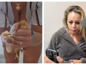 Empresária suspeita de torturar e matar animais para vender vídeos é solta horas após prisão em SP.