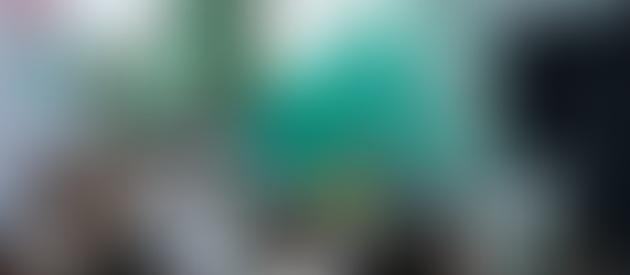 torcedores vão ao CT e se despedem do Palmeiras antes de final da Libertadores. 