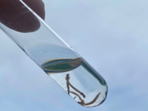 Prefeitura do Assú recolherá lixo pesado em combate à dengue nos bairros São João (26/03) e Carnaubinha (13/04). 