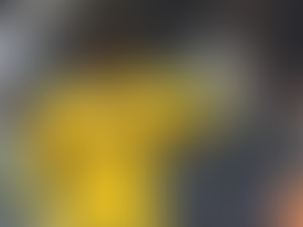 Onde estão os goleiros negros do Futebol Brasileiro?