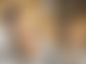 Herói de 4 patas! Cão detecta quase 50 toneladas de maconha na maior apreensão do Brasil