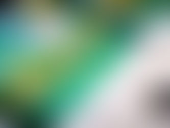 COMO JOGAR NA MEGA DA VIRADA EM 2023? VEJA O PASSO A PASSO.