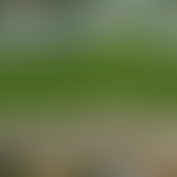 Barragem Oiticica supera 61% da capacidade; volume de água ultrapassa 456 milhões de m³