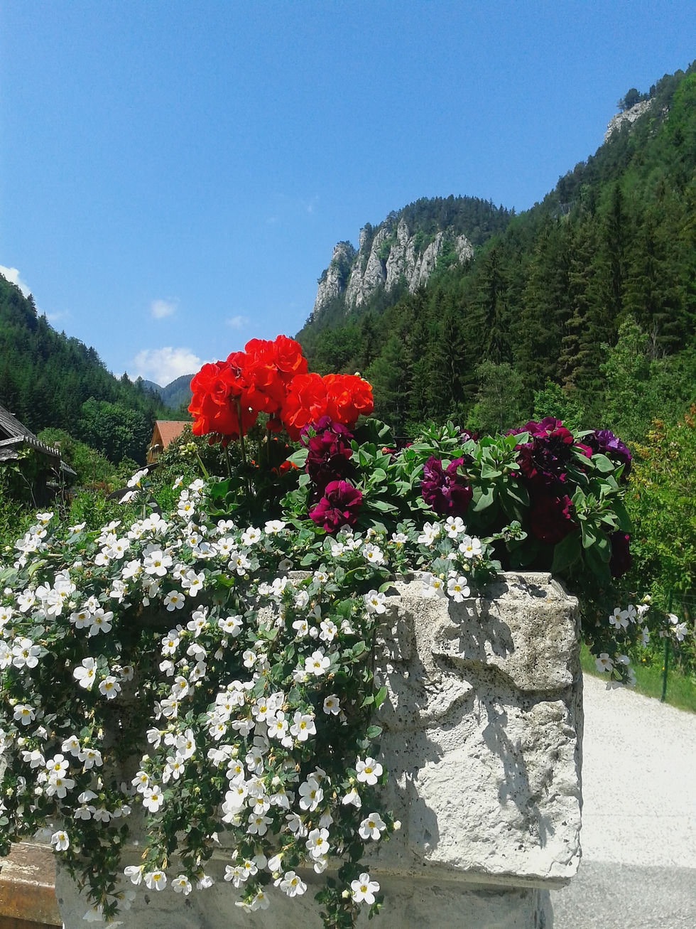 20150612_120317