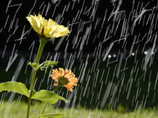 Semana pode ter o retorno da chuva em Portugal