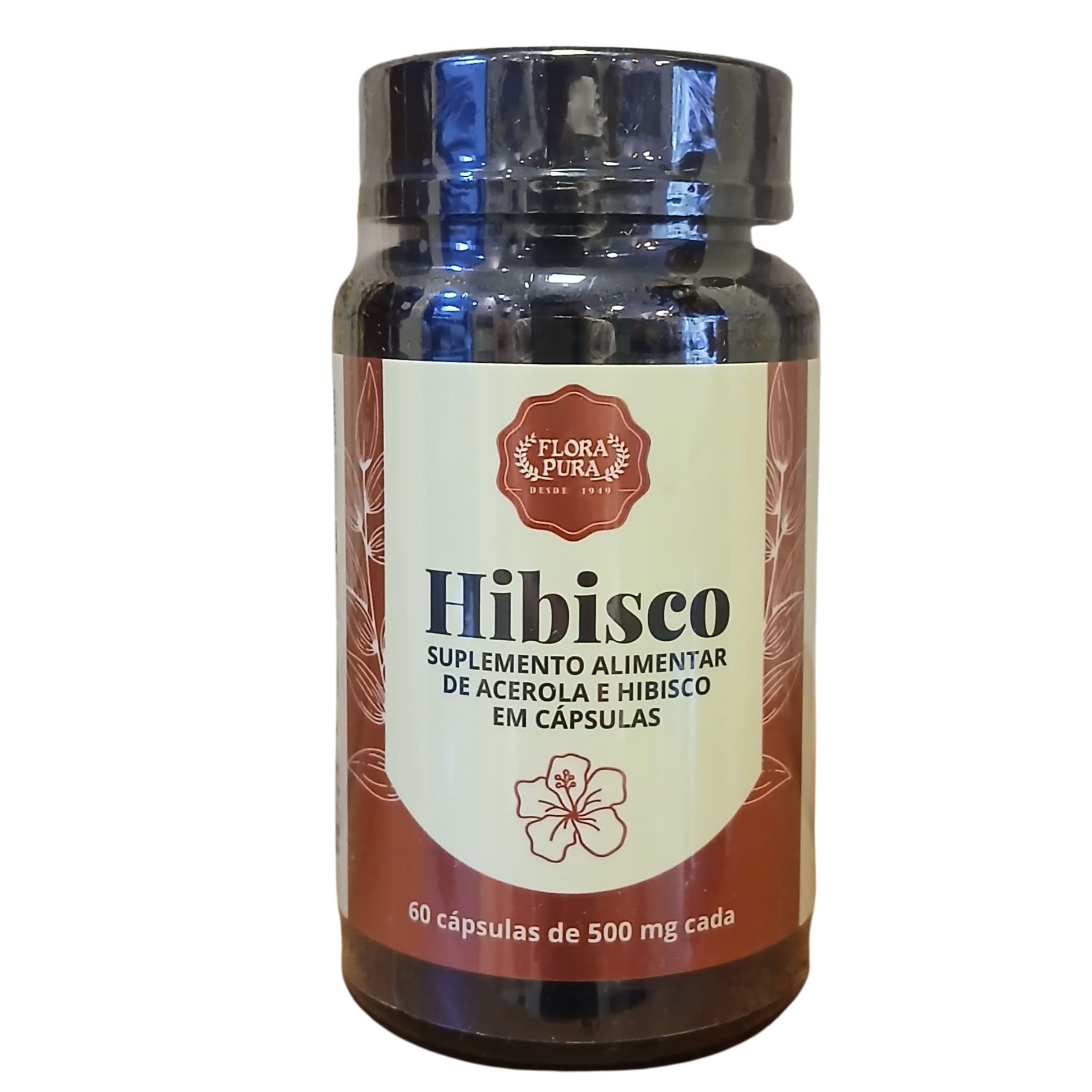 SUP. DE VITAMINA C COM HIBISCO CAPS 500 MG