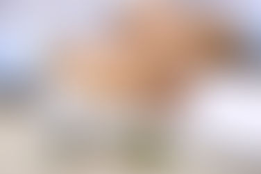 Blog Post 1: Beyond the Stigma What is Medical Cannabis Really About?