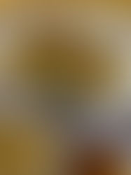 Famous shrimp dumplings