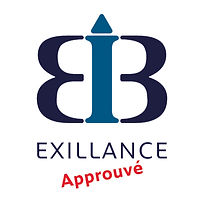 Logo EXILLANCE BLEU Approuvé centré.jpg
