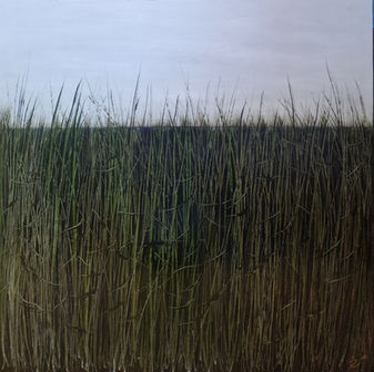 GRASSLANDS