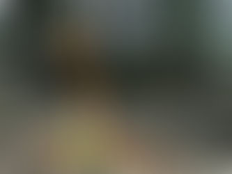 Falling leaves cause gutter damage 