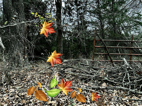 Falling leaves cause gutter damage 