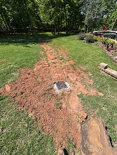 thumbnail_IMG_3910.jpeg