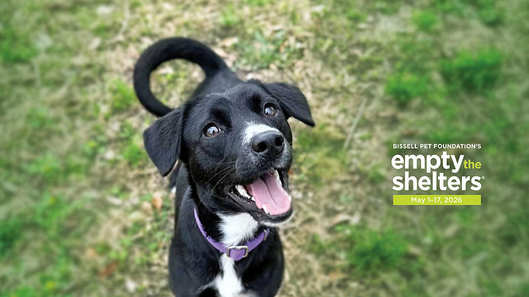 2026_ETS_MayNational_CoverPhotos_Dog.jpg