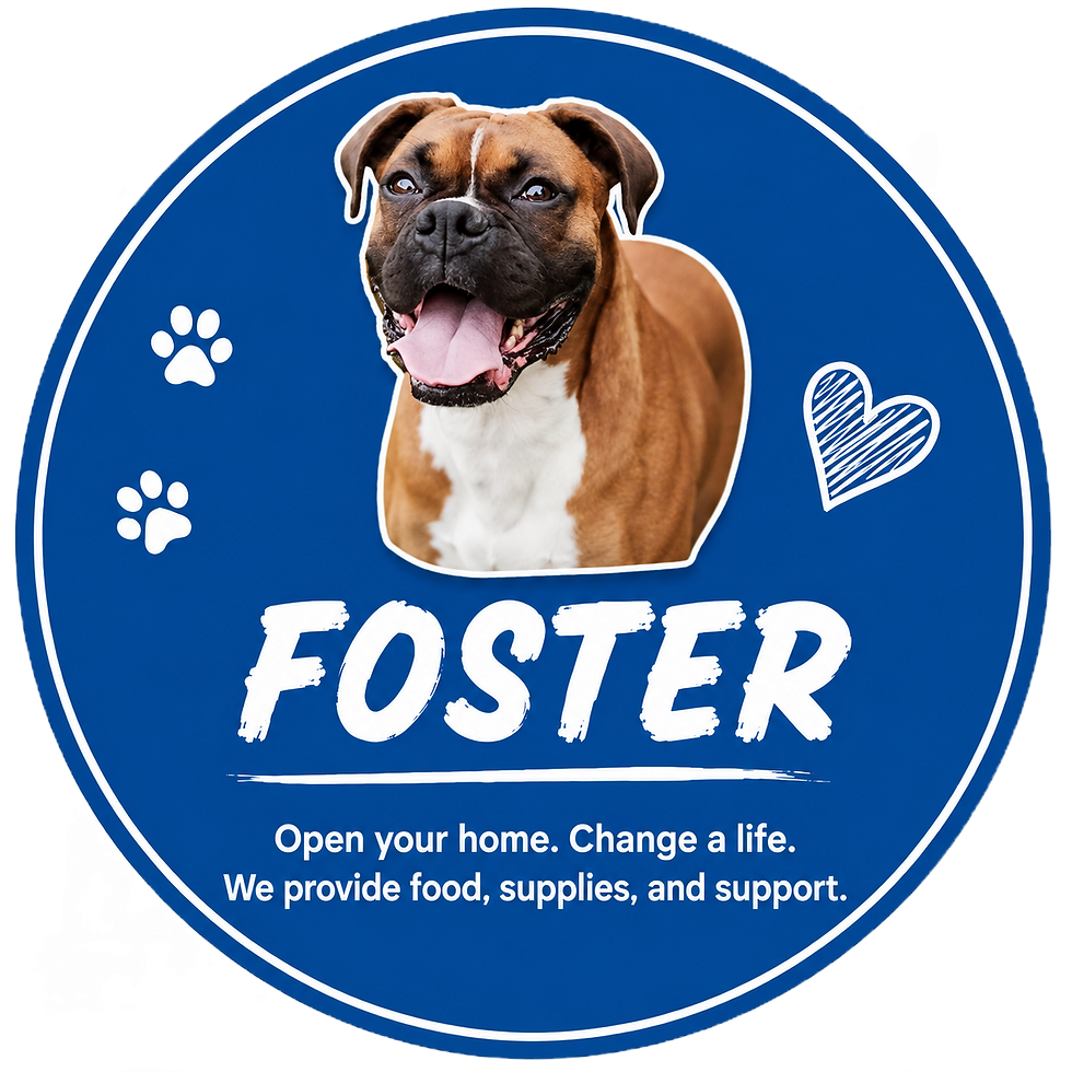 Foster