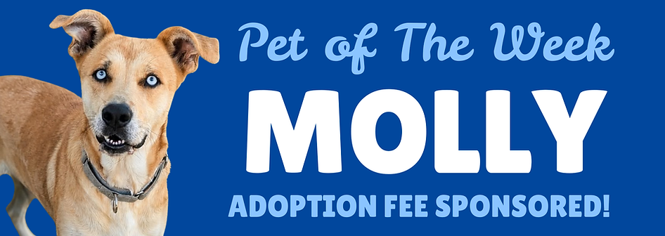 Pet of the week (18 x 8.5 in) (1).png